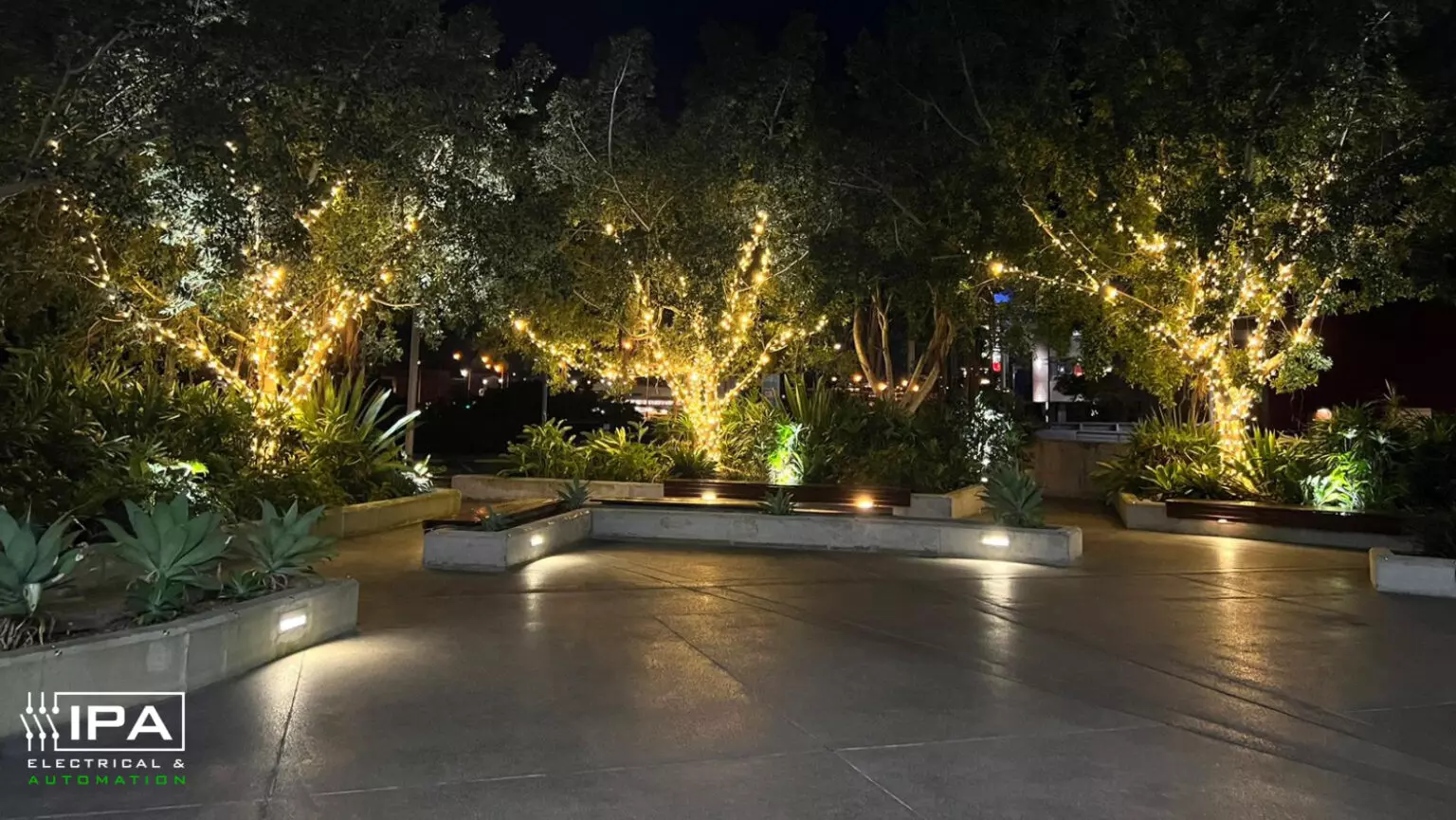 Lights on a tree turned on by an Intelligent Lighting Control